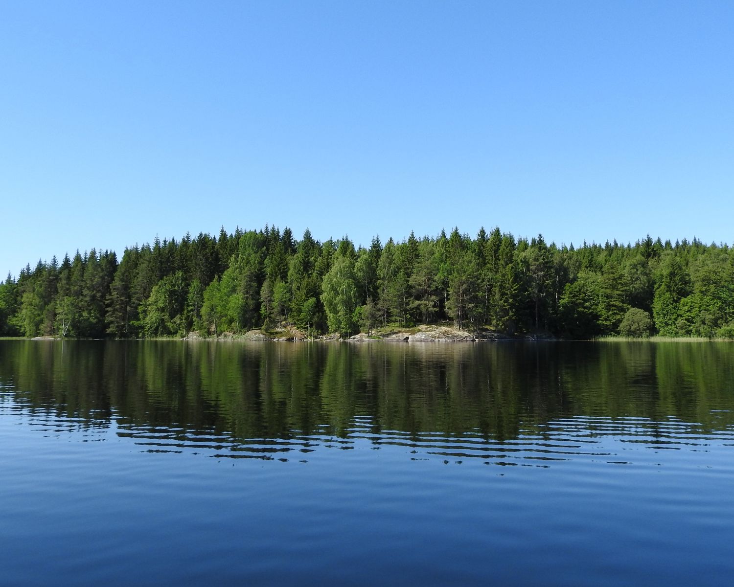 Skog, vatten och blå himmel