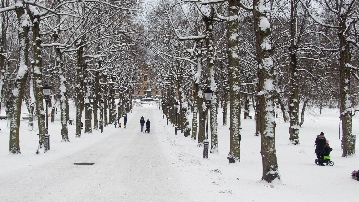 Humlegården på vintern