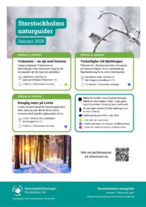 Program för naturguidningar i januari 2026